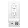 IPM Wall Plate: Picture 1 thumbnail