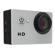 IPM Y6L: Picture 2 thumbnail