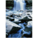 Pentax 17: Picture 26 thumbnail