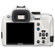 Pentax K-50: Picture 2 thumbnail