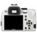Pentax K-50: Picture 2 thumbnail
