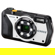 Ricoh G900 II: Picture 4 thumbnail