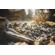 IRIX 21mm f/1.4: Picture 18 thumbnail