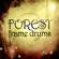Impact Soundworks Forest Frame Drums: Picture 2 thumbnail