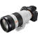 Sony 100-400mm: Picture 16 thumbnail