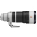 Sony FE 100-400mm f/4.5: Picture 5 thumbnail