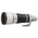 Sony FE 100-400mm f/4.5: Picture 6 thumbnail