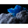 Sony 100mm f/2.8 Macro: Picture 15 thumbnail