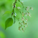 Sony 100mm f/2.8 Macro: Picture 19 thumbnail