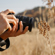 Sony FE 16-25mm f/2.8 G: Picture 18 thumbnail