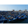 Sony 16-50mm f/3.5-5.6: Picture 12 thumbnail