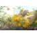 Sony FE 20-70mm f/4 G: Picture 28 thumbnail