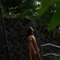 Sony FE 28-70mm f/2: Picture 10 thumbnail