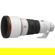 Sony FE 300mm f/2.8: Picture 2 thumbnail