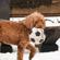 Sony 400-800mm f/6.3-8 G OSS: Picture 21 thumbnail