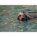 Sony 400-800mm f/6.3-8 G OSS: Picture 24 thumbnail
