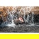 Sony 400-800mm f/6.3-8 G OSS: Picture 26 thumbnail