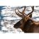 Sony 400-800mm f/6.3-8 G OSS: Picture 27 thumbnail