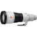 Sony 600mm F4.0 GM: Picture 3 thumbnail