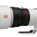 Sony 600mm F4.0 GM: Picture 5 thumbnail