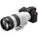 Sony FE 70-200mm f/2.8: Picture 12 thumbnail