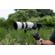 Sony FE 70-200mm f/2.8: Picture 25 thumbnail
