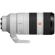 Sony FE 70-200mm f/2.8: Picture 5 thumbnail