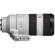 Sony FE 70-200mm f/2.8: Picture 6 thumbnail