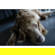 Sony Alpha a7C II: Picture 12 thumbnail