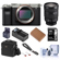 Sony Alpha 7C: Picture 1 thumbnail