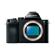Sony A7: Picture 5 thumbnail