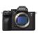 Sony Alpha a7S III Mirrorless Camera