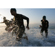 Sony Alpha a9 III: Picture 24 thumbnail