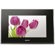 Sony DPF-V1000/B 10.2" Digital Photo Frame with 15:9 Aspect Ratio LCD, USB Input, Bluetooth, Capacity Up to 2,000 Images and HDMI Output: Picture 5 thumbnail