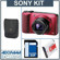 Sony Cyber-shot DSC-HX10V Digital Camera, Red - Bundle - with 16GB SD Memory Card, Camera Case, Spare Rechargeable Lithium-ion Battery: Picture 5 thumbnail