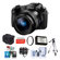 Sony RX-10 II: Picture 1 thumbnail