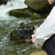 Sony ECM-M1: Picture 17 thumbnail