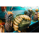 Sony RX1R III: Picture 30 thumbnail