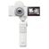Sony ZV-1F: Picture 11 thumbnail