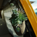 Sony Alpha ZV-E10 II: Picture 24 thumbnail
