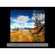 ACD Systems ACDSee Pro Photo Manager 2.5 Software for Windows: Picture 3 thumbnail