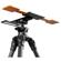 Inovativ Easy-Release Plate: Picture 5 thumbnail