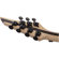Jackson Dinky DK2 Modern Ash FR7: Picture 10 thumbnail