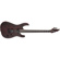 Jackson Dinky DK2 Modern Ash HT6: Picture 5 thumbnail