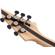 Jackson Dinky DK Modern Ash HT6: Picture 7 thumbnail