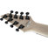 Jackson Dinky Arch Top DKAF8 MS: Picture 6 thumbnail
