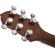 Jackson Mark Morton Dominion: Picture 10 thumbnail