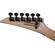 Jackson Pro Series Dinky DK2M: Picture 10 thumbnail