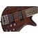 Jackson Spectra Bass JS3V: Picture 6 thumbnail