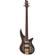 Jackson Spectra Bass SBP IV: Picture 1 thumbnail